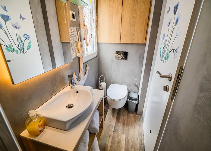 Floating House Bravia